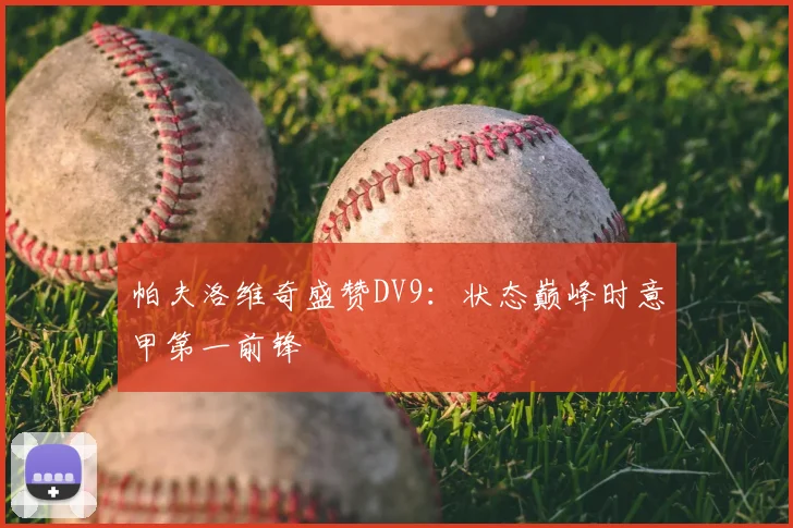 帕夫洛维奇盛赞DV9：状态巅峰时意甲第一前锋